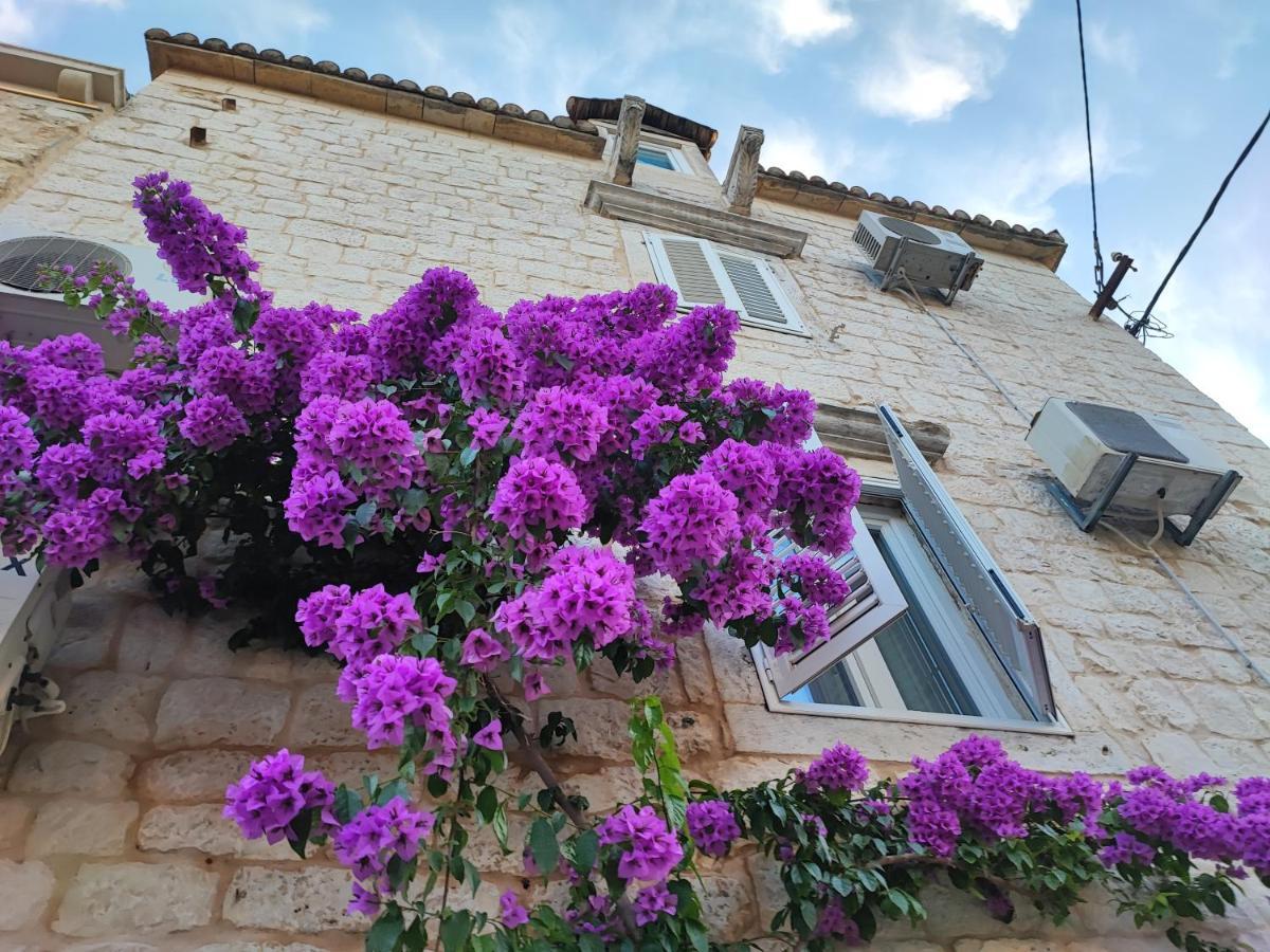 טרוגיר Carol Rooms מראה חיצוני תמונה