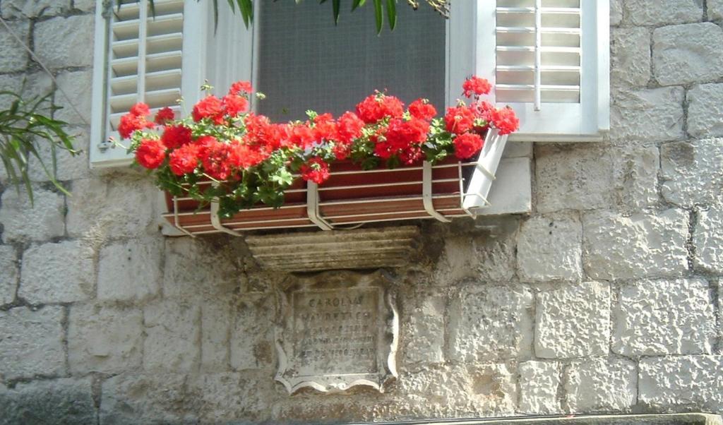טרוגיר Carol Rooms מראה חיצוני תמונה